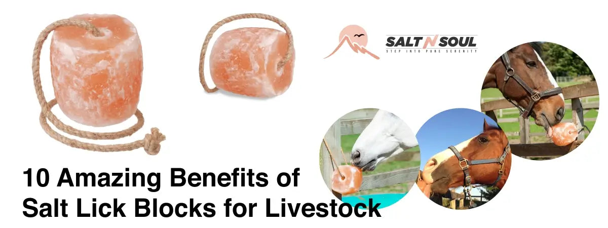 salt-lick-block-benefits