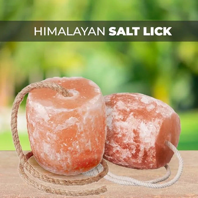 Himalayan salt licks